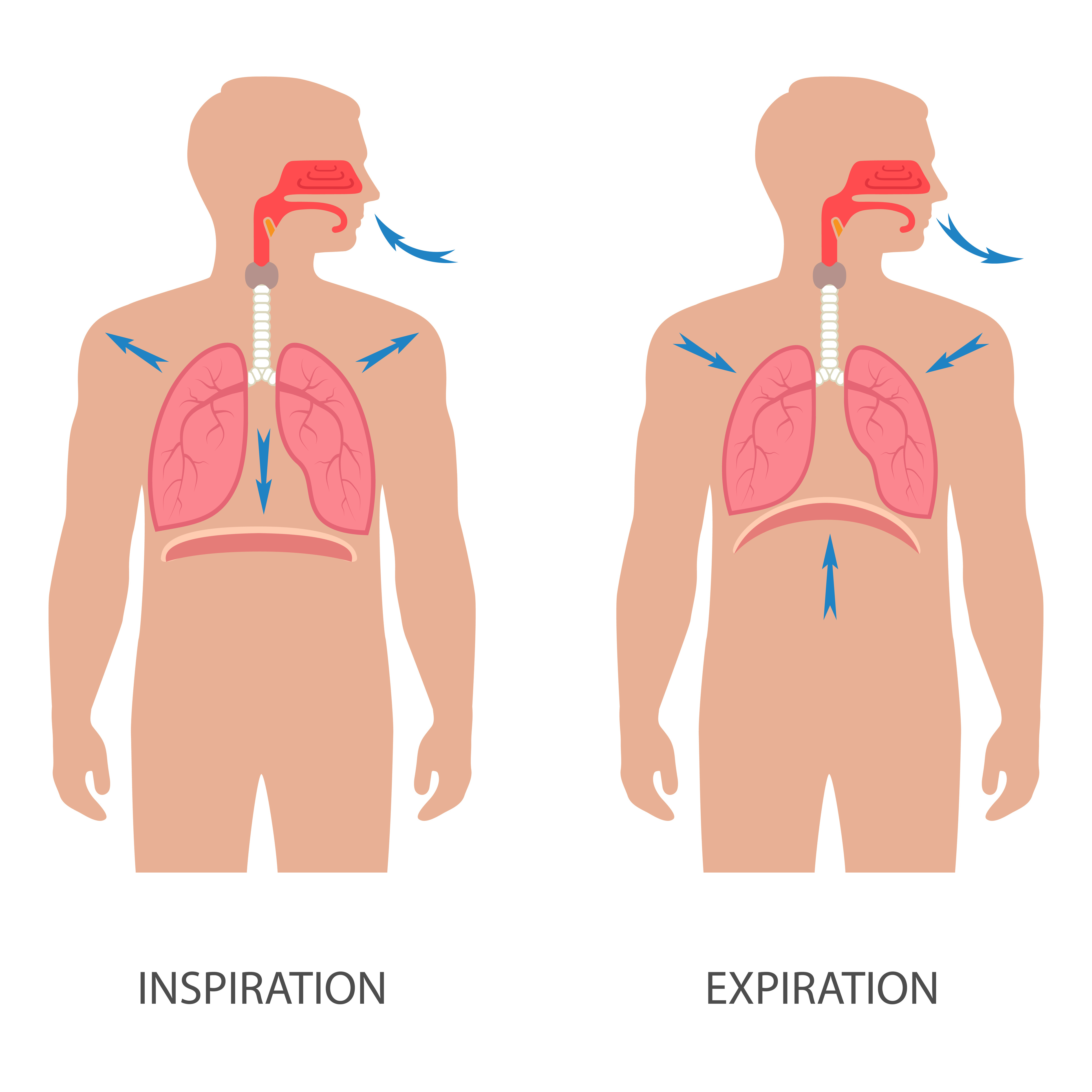 Diaphragmatic Breathing